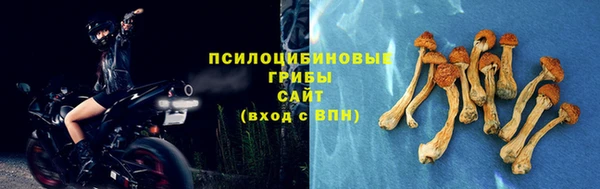 ГАЛЛЮЦИНОГЕННЫЕ ГРИБЫ Алзамай