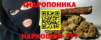 гидропоника Свободный