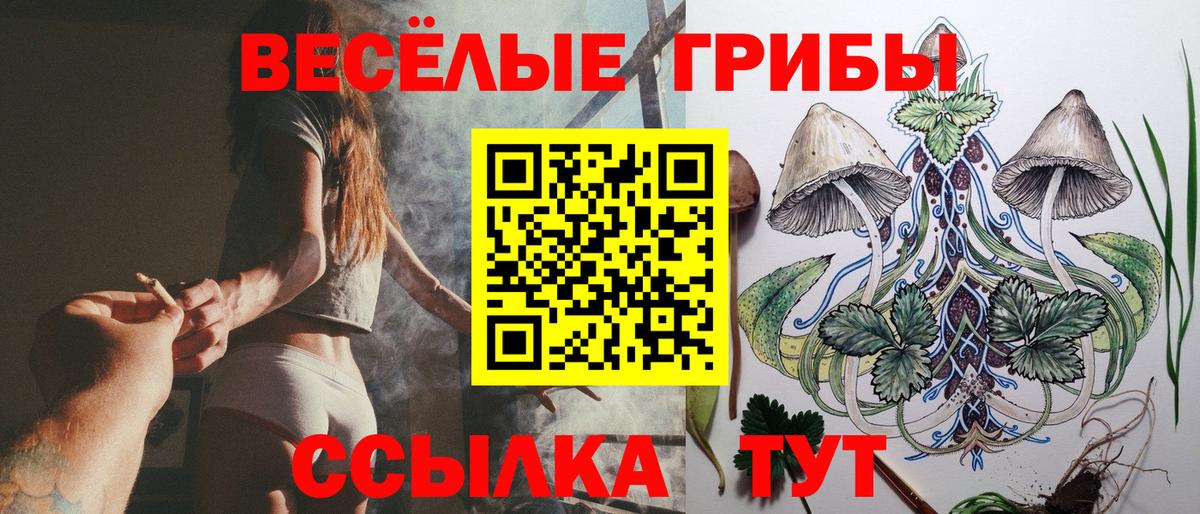 Псилоцибиновые грибы Cubensis Черкесск